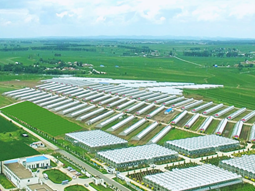 中国·388vip太阳集团(Macau)有限公司-官方网站