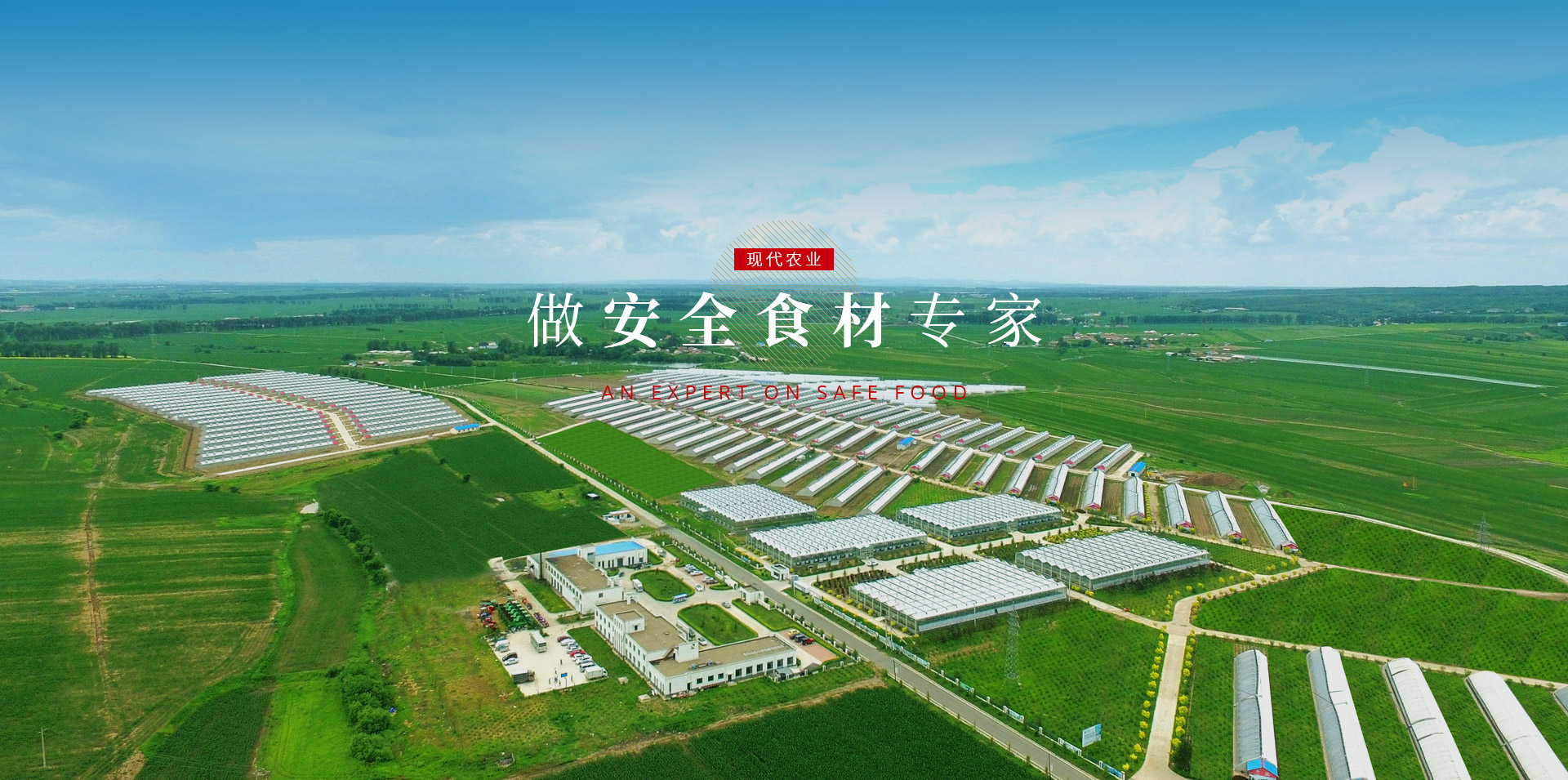 中国·388vip太阳集团(Macau)有限公司-官方网站