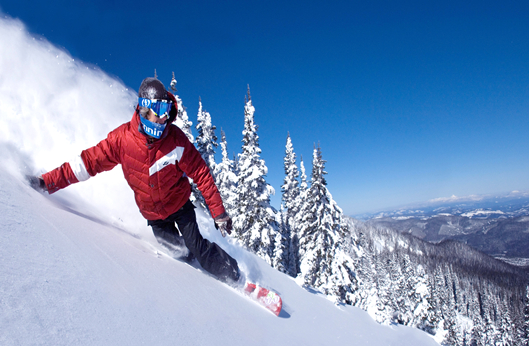 中国·388vip太阳集团(Macau)有限公司-官方网站