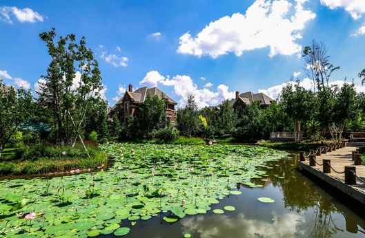 中国·388vip太阳集团(Macau)有限公司-官方网站