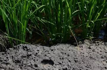 中国·388vip太阳集团(Macau)有限公司-官方网站