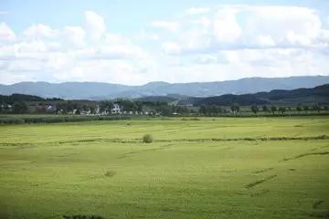 中国·388vip太阳集团(Macau)有限公司-官方网站